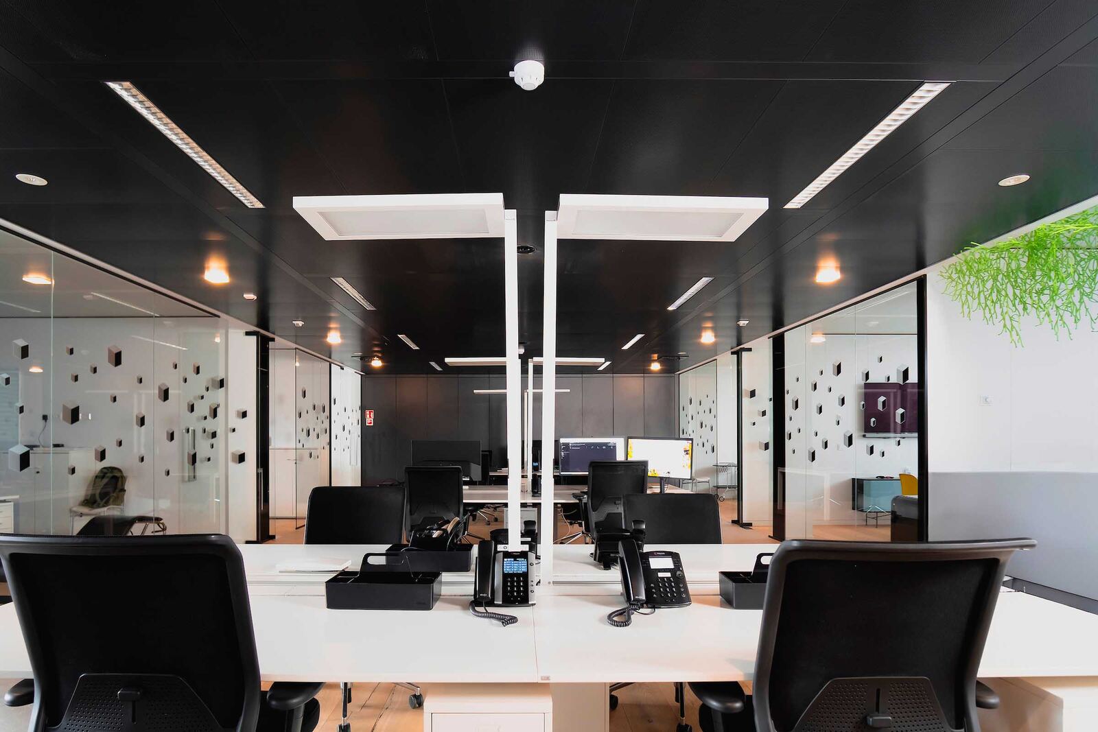 Open space de 12 postes